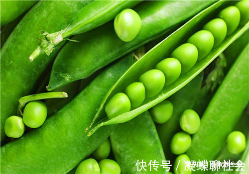 补水|女性养生,女性适合吃4种食物,清热排毒,补水养颜,营养又瘦身