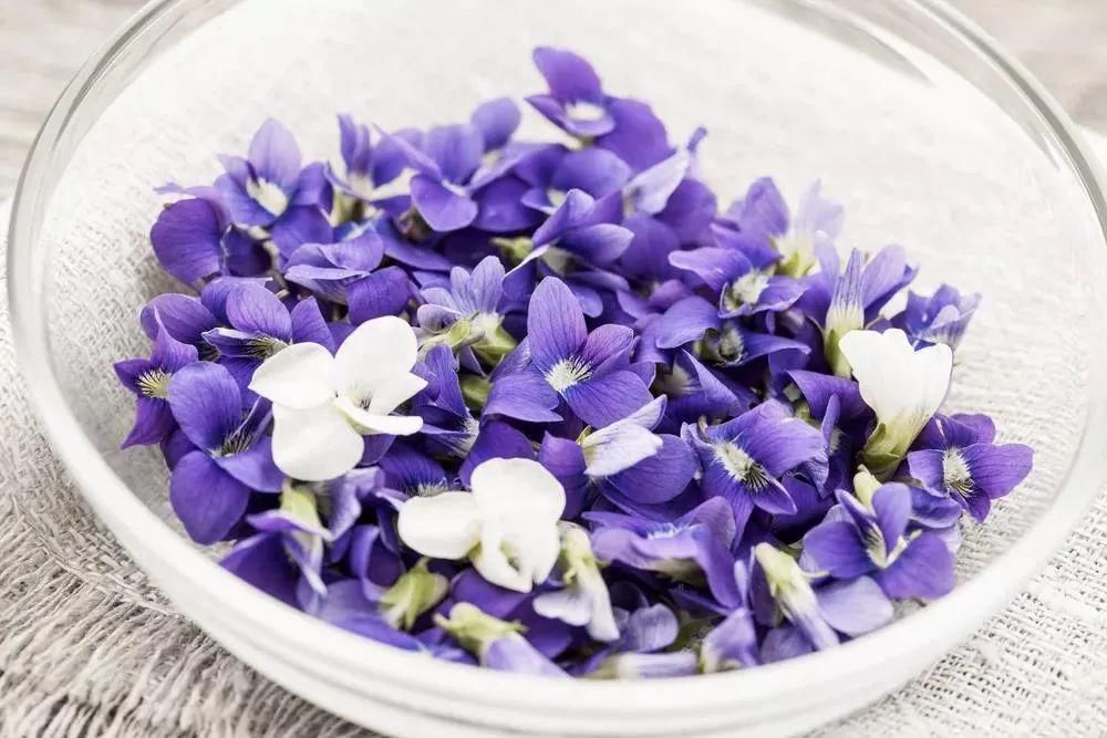 如何制作干花并且保持干花的颜色？