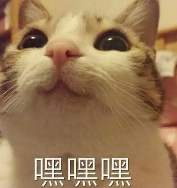 人类|人类无效沟通实录