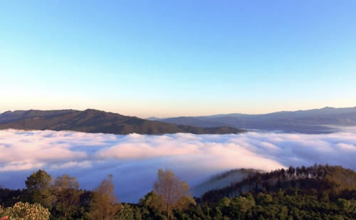  中国唯一用茶来命名的城市，现在却因为咖啡出名？风景还超美！