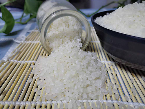 才知道,袋装米和散装米,差别这么大!以前都选错了,难怪米不香