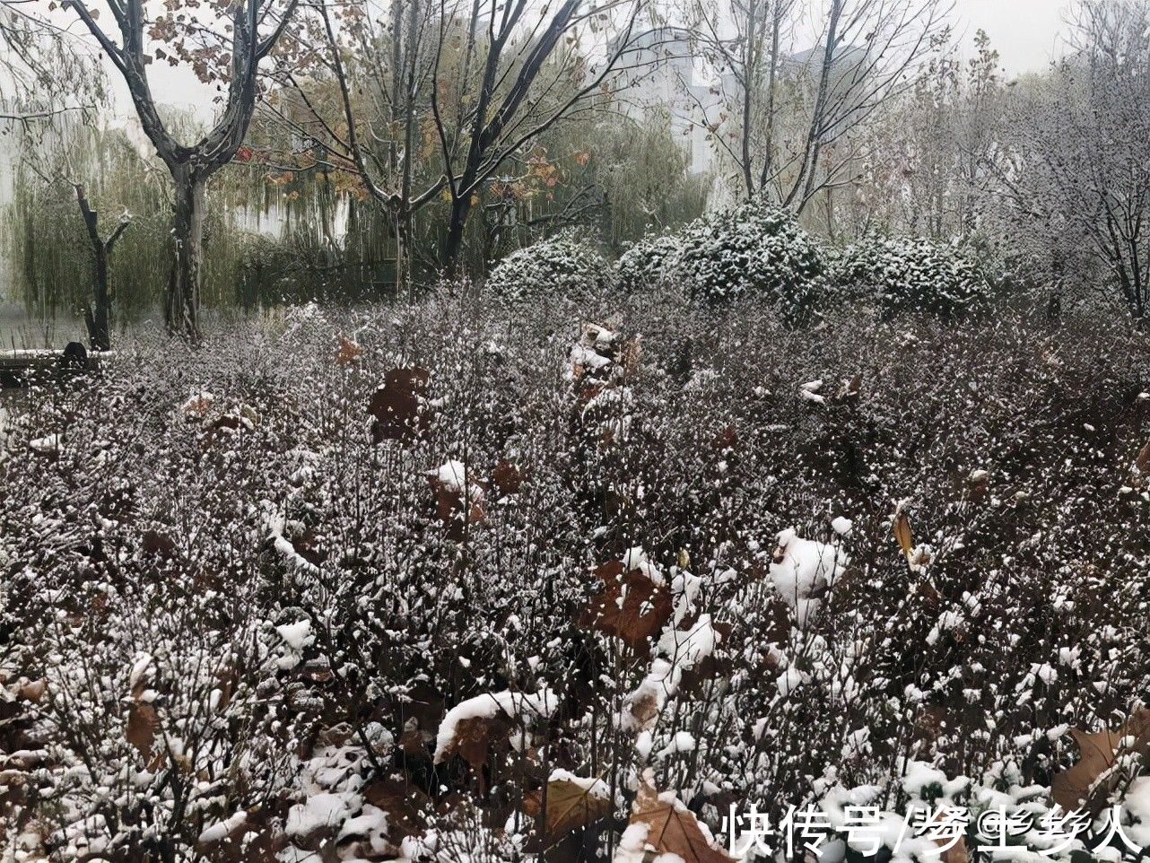 九月十八霜降,俗语“霜前霜,米如糠;霜后霜,谷满仓”,啥意思