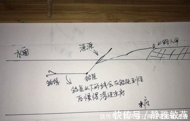 钓友|飞铅钓，一个让你夏季渔获翻倍的钓法，建议新手收藏