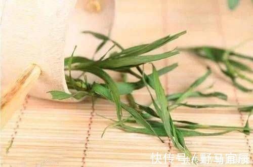 叶子|一种叶子堪称“口臭天敌”,泡水喝,火气降了,从此无口臭