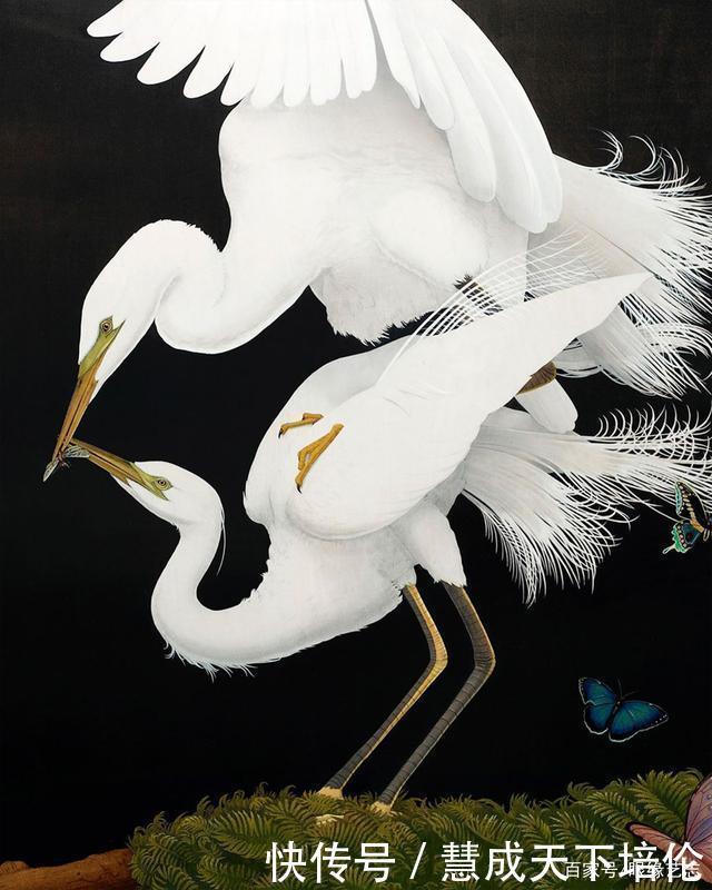 感恩|博齐奇的自然幻境异想天开的科学艺术,感恩生命的生物美学