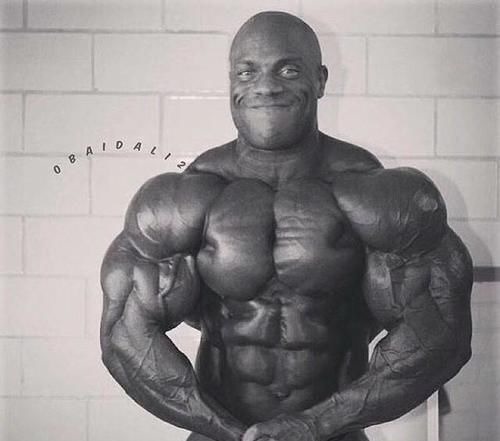 肌肉|看看中国的肌肉男,再看看外国的肌肉男,差距不是一般的大