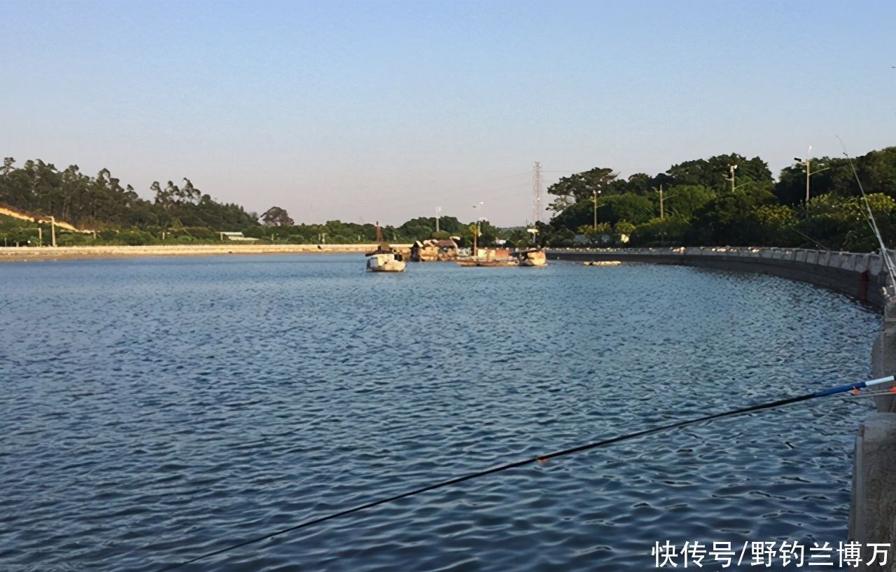 梯子|这届钓鱼人真不一般,为了能钓鱼,真是豁出去了