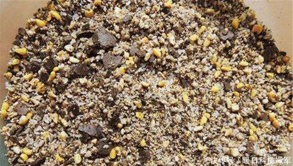 菜籽饼粉|野钓鲤鱼的天然饵料,味道纯正天然,有助于连竿上鱼