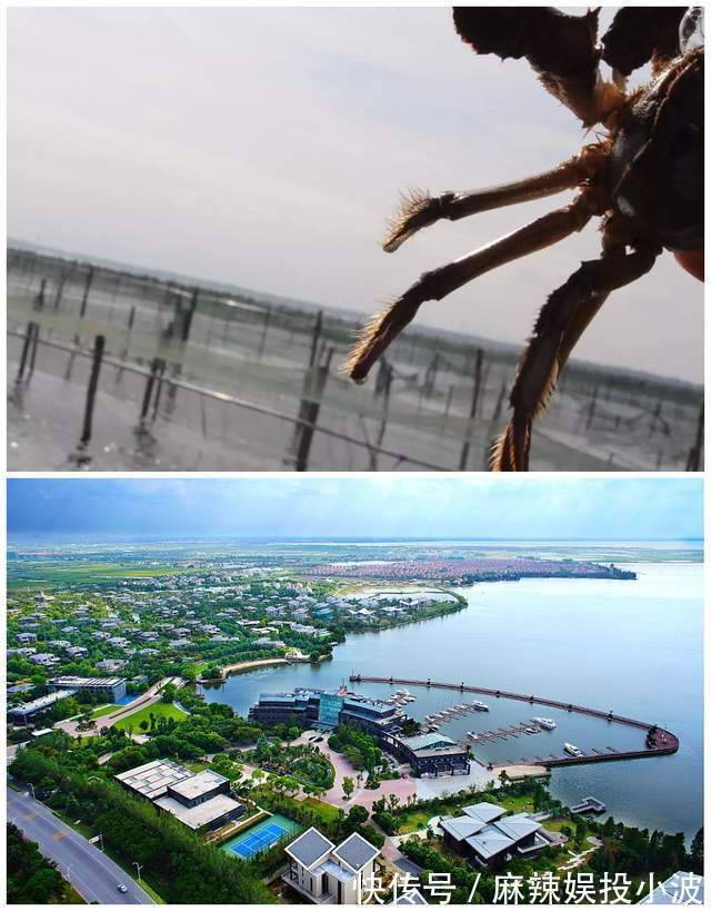 蟹庄|苏州旅游丨阳澄湖吃大闸蟹哪家好