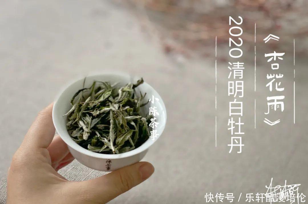 牡丹王|新的一年，白茶中的牡丹王和一级白牡丹，竟然转化得像白毫银针了