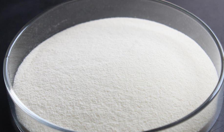 盆栽|该怎么将植物“矮化”,有什么好处?