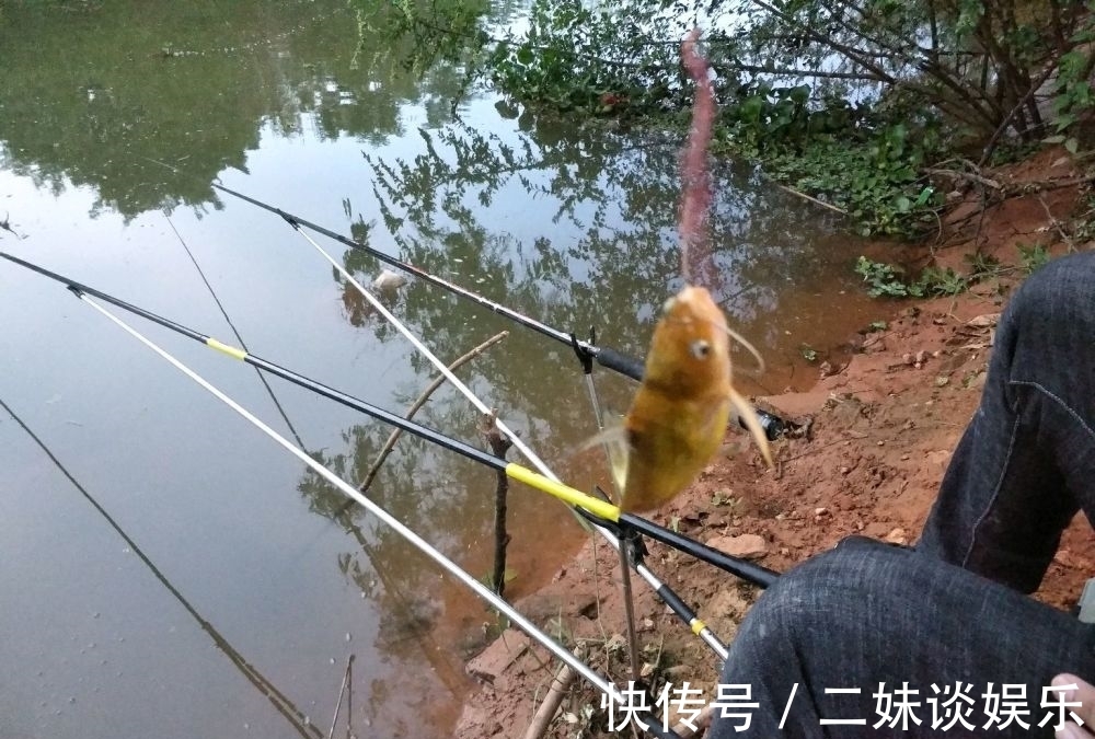 疯狂的钓鱼佬:永不空军还是其次,花钱那可老鼻子了!