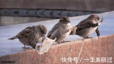 |搞笑GIF：单身久了什么事情都做的出来， 是时候找个女朋友了