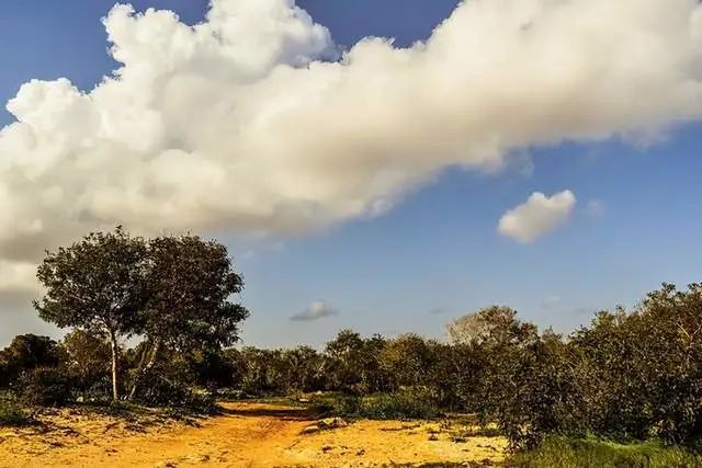 十二星座每日星座运势查询2月24日(红榜)