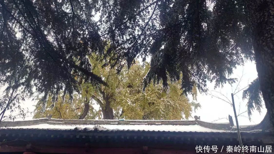 可至|西安秦岭这个峪口开车可至，适合大众爬山赏雪，还有2个免费寺庙和千年银杏