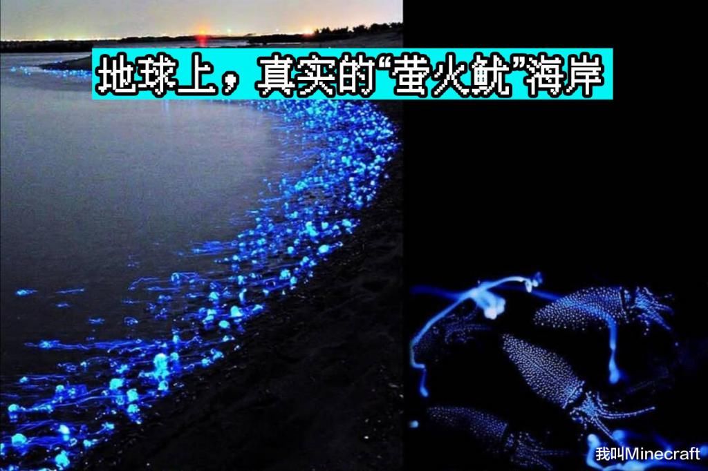 会发光|我的世界：若“发光鱿鱼”加入mc，会有什么变化？冰术师死得不冤！