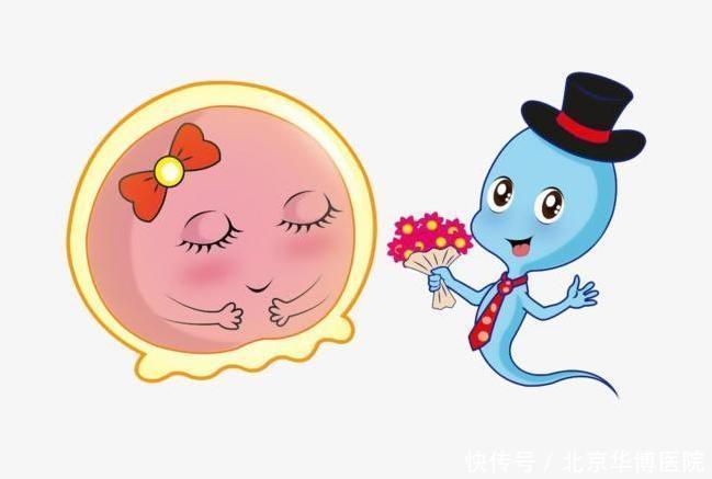 a156|备孕期间,这几个知识点必须要知道