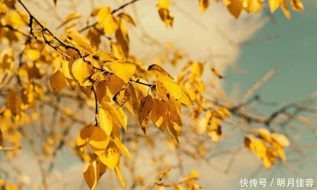 韩侂胄|辛弃疾被朋友骗了后一病不起,写下首临终绝笔,道出人生三大真谛