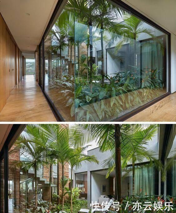 头一次见到户型不带院子,偏偏要在室内建庭院,没想到还这么漂亮