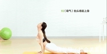 脊柱|一周三次瑜伽,照着做,让你越来越优雅!