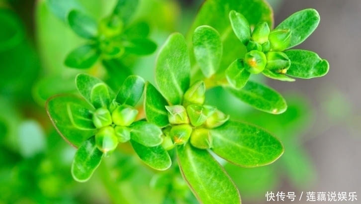 孕妇怀孕期间，这些东西你可以千万不能吃，后果太严重了