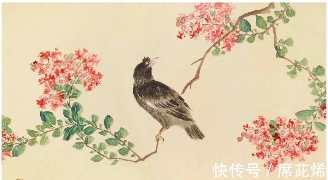 中国画#他一手花鸟得南田遗韵,清雅明丽,恰似清风徐来|陆抑非花鸟画