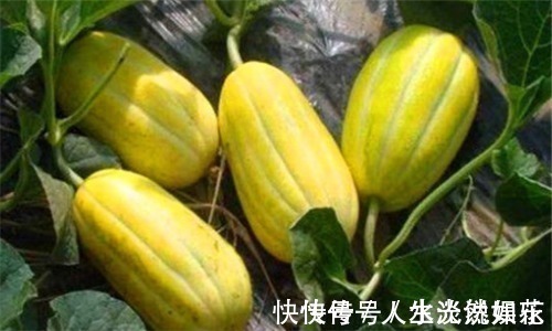类风湿性关节炎|想要长寿,就要排毒,常吃3种食物,排毒燃脂,清理肠胃