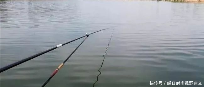 鲤鱼|水库钓鲤鱼技巧