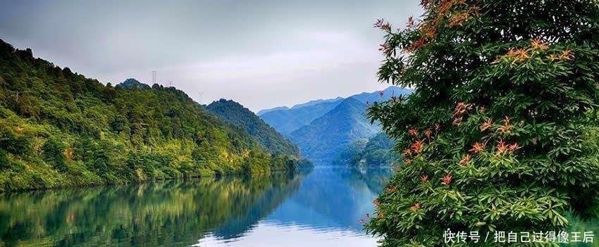 唐诗#他长相奇丑,却深受女子喜爱,一首七绝唐诗唯美伤感,冠绝古今!