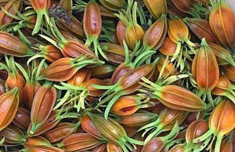 女性養(yǎng)生多吃幾種食物，營養(yǎng)豐富，去除皺紋，身體棒棒噠