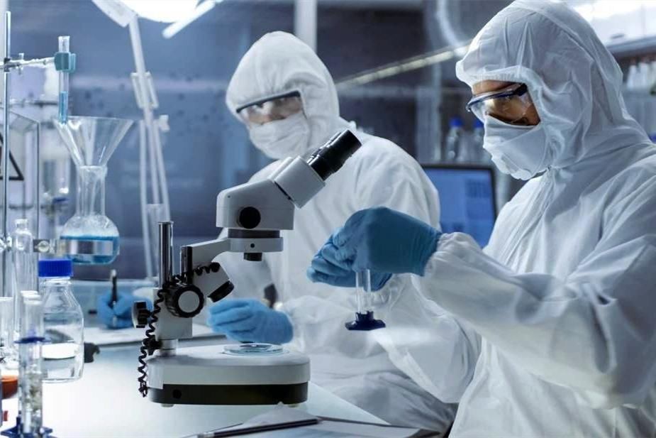 东晋一道士修仙,写本书流传千年,翻开一看:竟记载诺贝尔奖成果