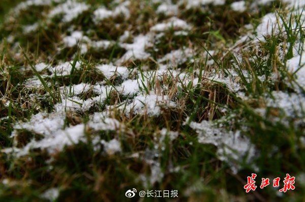 早上|早上的积雪你看到了吗？｜图集