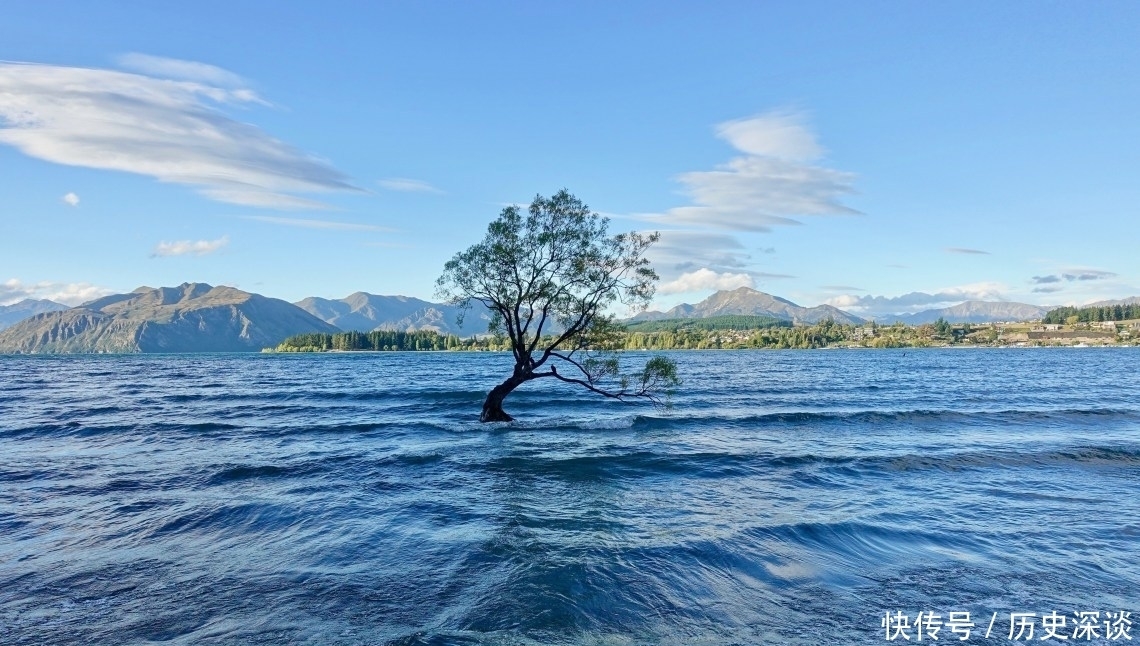 湖中|长在湖中的大树：新西兰卡瓦纳之树，被誉为“世界上最孤独的树”