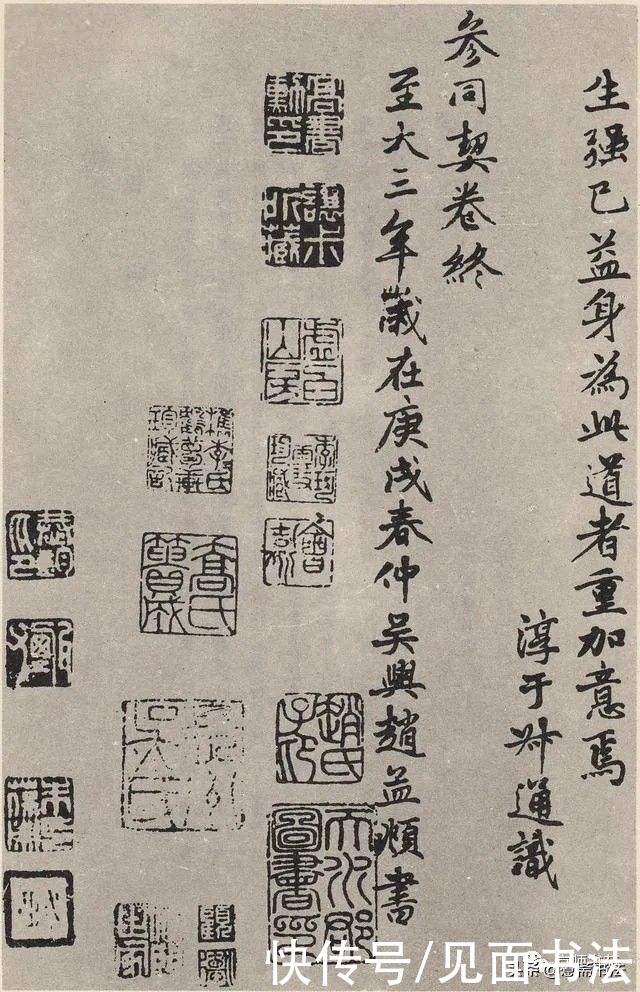 赵孟頫|「愙斋书法」赵孟頫《参同契》