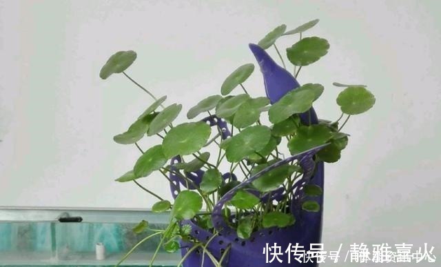 切割机|花盆买不起,自己动手做,好看又实用!花盆买不起,自己动手做,好看又实用!