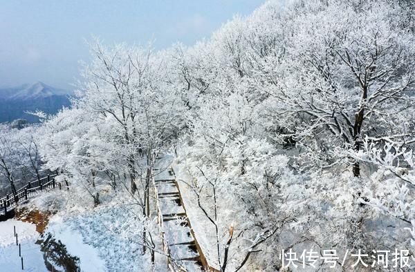 河南|大寒时节迎降雪，河南云台山雪景雾凇美若仙境｜组图