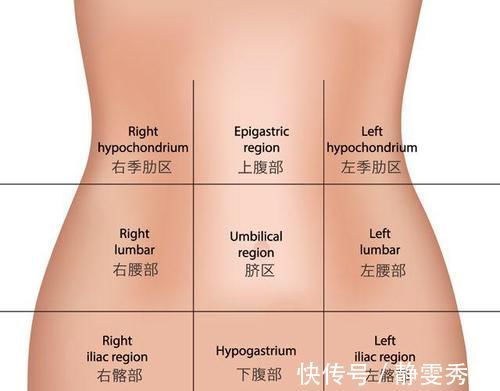 内脏|腹痛绝不只是肚子痛这么简单，这样判断病位，危机时刻能救命！