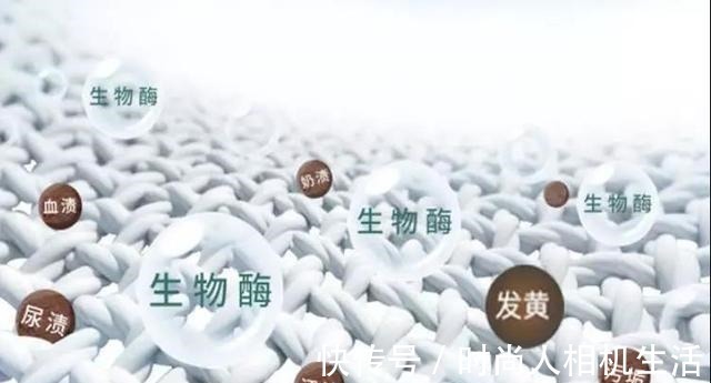 发黄的衣服不要丢,这个“绝招”,可以清洗得干净,涨知识了!