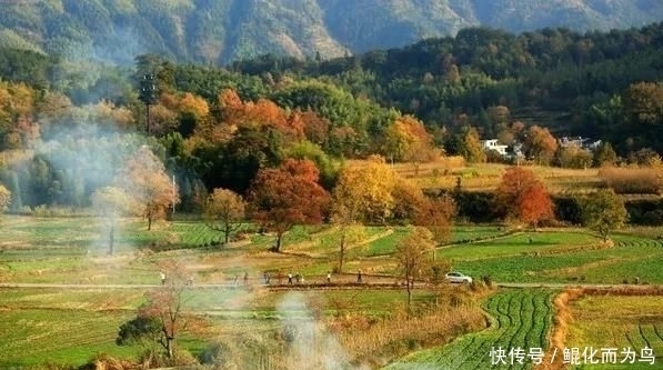 皖南这个小众村落，一个被遗忘的古村，也是赏秋好去处