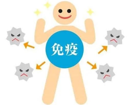 吃什么可以提高免疫力？免疫力的“幫手”找到了，日常盡量多吃