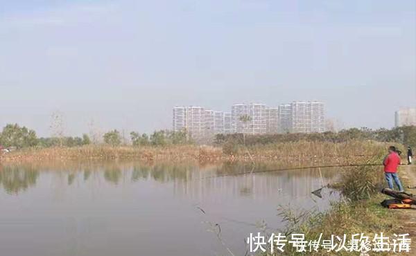 民间冬钓鲫鱼野路子:鲜为人知的弹钓钓法,非常有特色