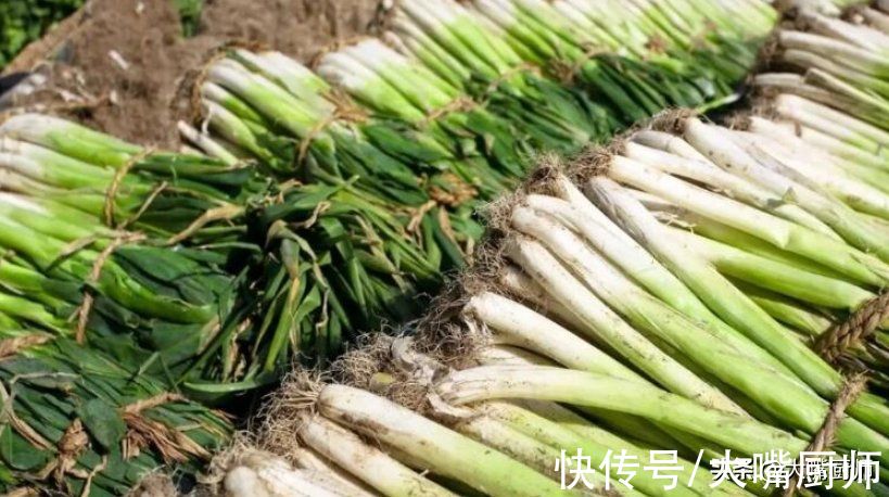 趁大葱便宜，1次买50斤，分享3个保存方法，半年不空不瘪，特新鲜