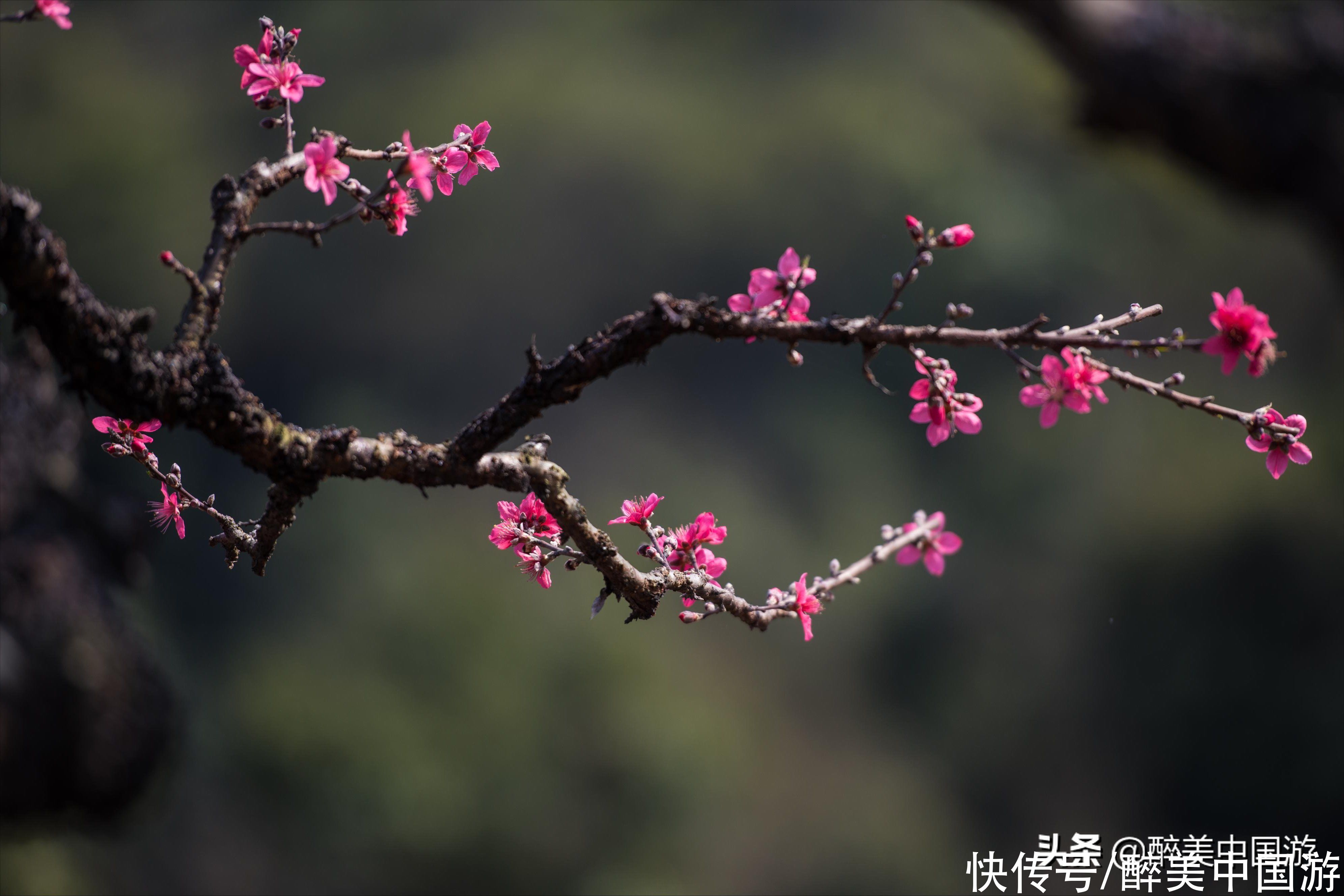 这里是桃花源记的艺术原型之一，有返璞归真之感，以幽谷风光取胜