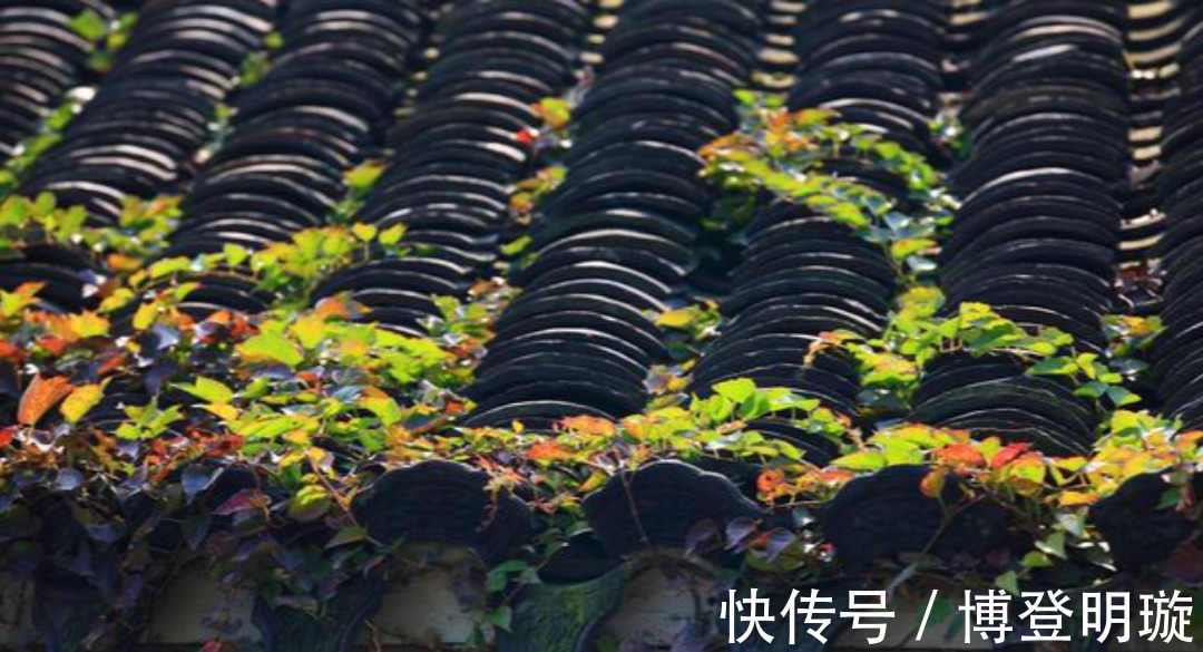 很一般|王安石很经典的一首禅诗,初读觉得很一般,长大后才真正读懂!