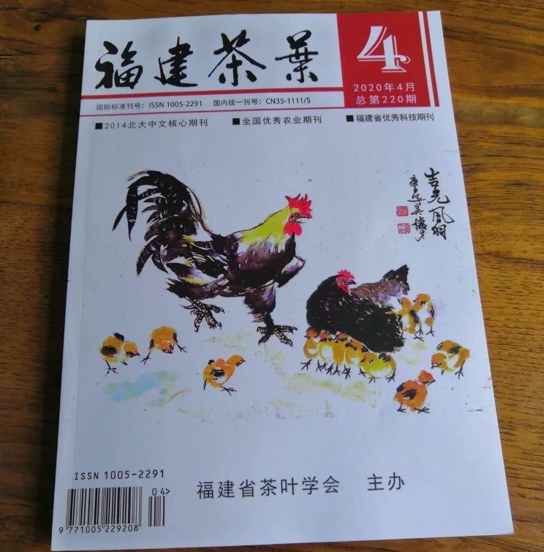 白茶|政和白茶传统工艺深度挖掘解析