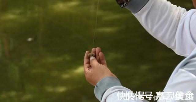 钓友|子线长度有多讲究?相差10厘米钓获可能少一半,看老钓手的分享