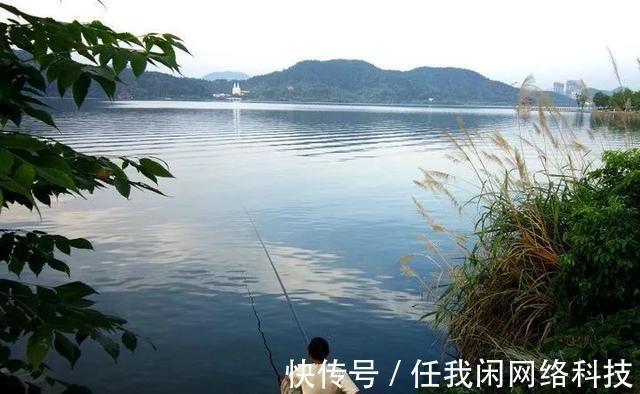 高温|“伏天到,鱼难钓”,入伏后,就该这样钓鱼!