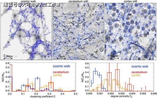 我们的大脑和宇宙，具有惊人的相似性