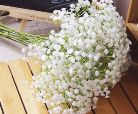 超惹人喜欢的4种花，香气四溢，花期达半年