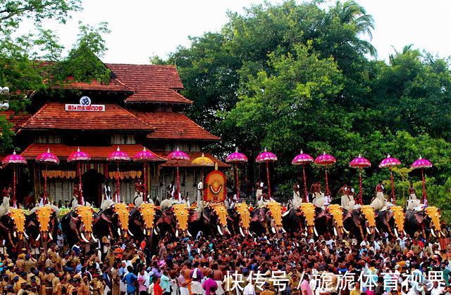 约瑟夫!印度天才神童克林特,在人世仅2522天,留下2.5万幅画作